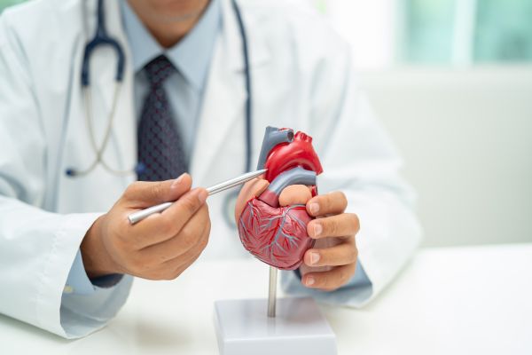 Minimally Invasive Procedures For Valvular Disease Treatment